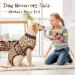 Kuoser Dog Recovery Suit - Breathable Post-Op Body for Dogs & Cats | Anti-Lick Op Body in XXL Brown - Buy Online on GoSupps.com