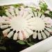 Honbay 20PCS Plastic False Nail Swatches Wheels - Manicure Color Display Wheel - Buy Online on GoSupps.com
