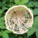 FLAMEER 6pcs Bamboo Wicker Woven Canary Nest Pans Small Bird Nest Boxes Cage Hanging - Buy Online on GoSupps.com