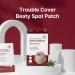 Trouble Cover Calming Clear Spot Patches - 100 Count Hydrocolloid Acne Treatment for Zits Pimples & Blemishes | Korean Spot Patch for Troubled Skin - Buy Online on GoSupps.com