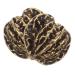 Warmhm 2st Chinese decor Chinese ball Tea pet mini-wal nut figures Chinese walnut decoration Chinese walnuts Chinese balls brass chinese style collection