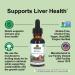 Nature's Answer Reishi Mushroom Extract Alcohol Free 1 fl oz (30 ml) - Buy Online on GoSupps.com