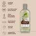 Dr Organic Virgin Coconut Oil Shampoo - 265ml | Natural, Vegan, Cruelty Free | Paraben & SLS Free, Hydrating Formula - Buy Online on GoSupps.com