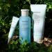 Innisfree Clarifying Toner with Bija Seed Oil - Face Treatment - Buy Online on GoSupps.com