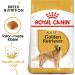 Royal Canin - 35251 - Golden Retriever Food - 12 kg - Buy Online on GoSupps.com