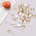 Canvalite 1820Pcs Champagne Rhinestones Nail Gems | 12 Styles 3D Glass Crystals | Nail Rhinestones with Rhinestones Picker & Tweezers | Multi Shape Flatback Face Gems for Nail Art - Buy Online on GoSupps.com