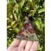Crystal Rough 50mm Natural Stones and Minerals Dragon Blood Stone Pyramid Shaped gem Crystals Suitable for Home - Buy Online on GoSupps.com
