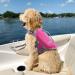 Vivaglory Light Lifeguard Dog Vest | Skin-Friendly Neoprene for Medium Dogs | Pink Swimming Life Saver with D-Ring & Quick Lock (M: 53-63cm) - Buy Online on GoSupps.com