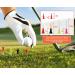 Pop Up Golf Chipping Net with Hitting Mat, Training Balls & Tees - Indoor/Outdoor Golf Accessories for Backyard Practice - 1-Pack - Buy Online on GoSupps.com