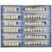 168 Pcs Dental Synthetic Resin Denture Teeth Set - Halloween Horror False Teeth, Shade 23 A3 Upper Lower - Buy Online on GoSupps.com