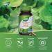 Nature's Way Gotu Kola Antioxidant 100 Vegetarian Capsules 100 count (Pack of 1) - Buy Online on GoSupps.com