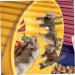 INOOMP Oral Biting Playthings Wooden Pet Chewing Balls Bunny Treats Comforting Teething Toy - Buy Online on GoSupps.com