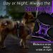 Eagloo Small Dog Harness - Adjustable Anti-Train Harness with Reflex Strips for Walking & Jogging - Durable Purple XS (1 Pack) - Buy Online on GoSupps.com