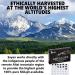 Sayan Pure Shilajit Black Resin Mineral Tablets - 60 Organic Drops, Immune Support & Energy Boost - Buy Online on GoSupps.com
