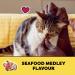 TEMPTATIONS Adult Cat Treats Seafood Medley Flavour 454g Tub Cat Treats Seafood 454 g (Pack of 1) - Buy Online on GoSupps.com