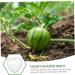 KICHOUSE Fruit Forming Mold Heart Shaped Watermelon Molds Vegetable Forming Machine Watermelon Growing Mold - Buy Online on GoSupps.com