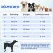Slowton Dog Recovery Suit - Soft Breathable Anti-Wound Licking Zipper Suit for Male Dogs After Surgery - Comfortable E-Neck Band Gray - Buy Online on GoSupps.com
