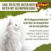 Delibest Cat Snack - 100% Swiss Chicken Treats for Cats | Grain-Free Semi-Moist Joint Support & Allergy-Friendly | 45g - Buy Online on GoSupps.com