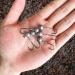UperUper 50pcs Round Ball Fishing Jig Heads Set for Saltwater Freshwater Swimbait Bass Trout - 1/8oz - A Style Jig Head Hooks - 50 Pack - Buy Online on GoSupps.com