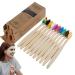 Palank Bamboo Toothbrushes - Eco-Friendly Soft Bristle Travel Set - 10 Colors for Men & Women | Reusable Wooden Toothbrush - Buy Online on GoSupps.com