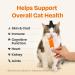 Chogong Easy Care Omega-3 - Lickable Cat Supplement Skin & Coat Health Support Salmon Flavor - Buy Online on GoSupps.com