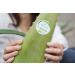 Buy Organic Aloe Vera Barbadensis Leaves - Health Benefits 2-Pack - Worldwide Shipping - Buy Online on GoSupps.com