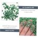 Anneome 1 Glass Chip Nail Crushed Glass Epoxy Filling Shiny Nail Stickers DIY Glass Fillers Epoxy Charms Nail Art Rhinestones Manicure Charm Nail Art Accessories Manicure Fillers 0.5X0.3cm Green - Buy Online on GoSupps.com