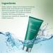 PORCOPE Oil Control Acne Cleansing Milk Contains Sea Salt and Amino Acids Gently Moisturizes Suitable for Oily and Sensitive Skin Deeply Cleanses Pores and Effectively Removes Oil - Buy Online on GoSupps.com