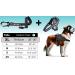Shop Bike & Dog: Patented XL Black Dog Leash & Harness for Safe Biking Includes 3-Ring Dishes & Special Bridles - Perfect for Active Dog Owners! - Buy Online on GoSupps.com