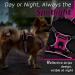 Eagloo Adjustable Dog Harness for Small Dogs - Anti-Train Durable Reflective Strips - Perfect for Walking & Jogging - Rose Red XS (1 Pack) - Buy Online on GoSupps.com