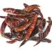 Thai Chili Whole Birds Eye Chili 2oz - Ideal for Thai Soups and Pad Thai - Buy Online on GoSupps.com