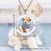 Personalized Photo Necklace - Stainless Steel Cat & Dog Jewelry | Custom Round/Heart Shaped Gifts for Animal Lovers - Buy Online on GoSupps.com