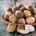 ROYAL ORIENT - Champignons de paille - (1 X 425 GR) - Buy Online on GoSupps.com
