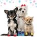 24 Pieces Non Slip Dog Socks for Small Dogs - Indoor Paw Protectors for Hardwood Floors - 6 Styles (Small) - Buy Online on GoSupps.com