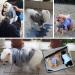 QiCheng&LYS Cute Cotton Dog Hoodie Sweater - M Grey - Buy Online on GoSupps.com