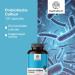 Be Healthy Group doo Probiotic Culture Complex of Microbial Cultures 120 Vegetable Capsules Intestinal Microflora Support Digestion 20 billion CFU per daily dose 2month supply - Buy Online on GoSupps.com