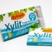 Buy Birch Gold Xylitol Peppermint Chewing Gum | 24 Pcs | Sugar-Free Vegan High Xylitol 70% | Dental Care & Fresh Breath - Buy Online on GoSupps.com