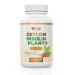 Ceylon Insulin Plant Plus Capsules - All Natural Costus Igneus Powder Combined with Ceylon Cinnamon for Improved Blood Sugar Management - Vegan Gluten Free Non-GMO Supplement - 360 Capsules