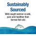 Natural Factors Wild Alaskan Salmon Oil 1000 mg - 90 Softgels | Omega-3 Supplements - Buy Online on GoSupps.com