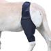 Dog Leg Bracket Pet Dog Leg Support Bracket Dog Hind Leg Protection Device Adjustable Knee Bracket Leg Bracket Dog Arthritis Bracket for Dog Hind Leg Rehabilitation XL