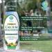 Tropical Oasis Liquid Calcium & Magnesium - Natural Bone Support - 16oz | Liquid Vitamins - Buy Online on GoSupps.com