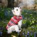Amaone Chihuahua Dog Coat - Leopard Knit Jacket for Small Dogs | XL 0228debka Green - Stylish and Warm Puppy Clothing - Buy Online on GoSupps.com