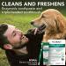 Vet's Best Enzymatic Dog Toothpaste - Dental Care Gel for Clean Teeth & Fresh Breath - Buy Online on GoSupps.com