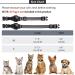 Feeyar Black Reflective GPS AirTag Cat Collar with Bell - Lightweight Tracker for Kittens and Puppies - Buy Online on GoSupps.com