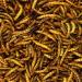Buy GardenersDream Dried Mealworms - Premium Wild Bird Food (1L) for Gardeners - International Shipping Available - Buy Online on GoSupps.com