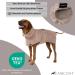 CANICOAT Dog Bathrobe Lavari - 100% Cotton Oeko-TEX Certified Size 6 Beige - Ideal for International Shipping - Buy Online on GoSupps.com