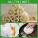 Buy 100% Natural Luffa Slices | Eco-Friendly Soap Holders & Luffa Accessories for Shower Bathroom & Kitchen - Buy Online on GoSupps.com