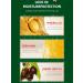 Moily Christmas Gift for Her & Him - 3 Piece Natural Lip Balm Set Fruit Flavored Hydrating Care Green One Size One Size Green - Buy Online on GoSupps.com
