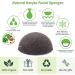 Natural Konjac Sponge Set - 3 Eco-Friendly Facial Sponges with Activated Carbon & Aloe Vera for All Skin Types - Sustainable Face Cleansing - Buy Online on GoSupps.com