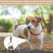 TYVOM Extra Loud Cat and Dog Bells for Collar Pet Dog Bowtie Collar with Ringing Bell Pet Tracker Bells Falconry Durable Brass Collar Charms for Cats Dogs Training Pet Bling - Buy Online on GoSupps.com